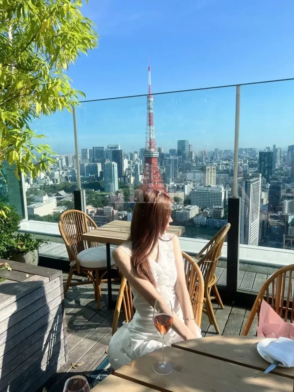 Haruko, Hong Kong profile photo 17